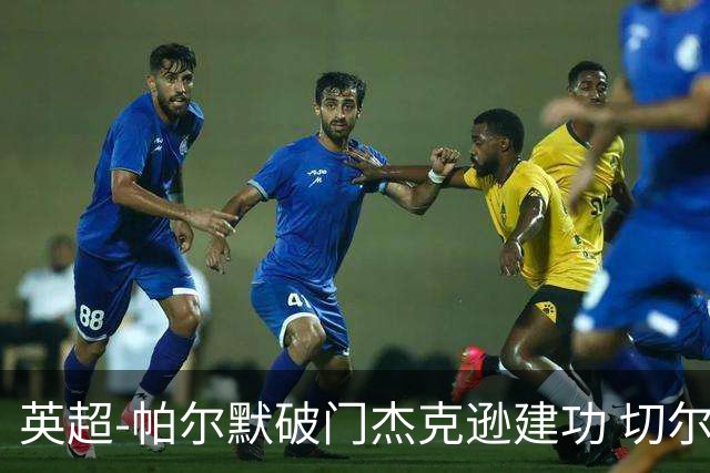 英超-帕尔默破门杰克逊建功 切尔西2-1纽卡斯尔